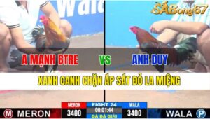 TRẬN 24 CPC3 25/11/2024 : ANH MẠNH BẾN TRE VS ANH DUY