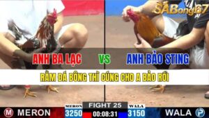 TRẬN 25 CPC2 15/11/2024 : ANH BA LẠC VS ANH BẢO STING