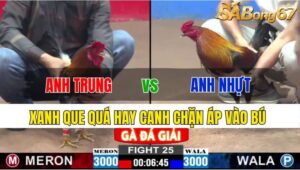 TRẬN 25 CPC2 24/11/2024: ANH TRUNG VT VS ANH NHỰT TG