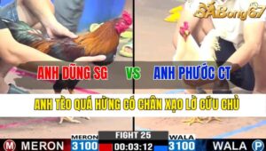 TRẬN 25 CPC3 09/11/2024 : ANH DŨNG SÀI GÒN VS ANH PHƯỚC CẦN THƠ