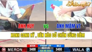 TRẬN 25 CPC3 25/11/2024 : ANH HUY VS ANH MẮM VŨNG TÀU