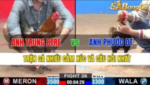 TRẬN 26 CPC2 13/11/2024 : ANH TRUNG BẾN TRE VS ANH PHƯỚC ĐỒNG THÁP