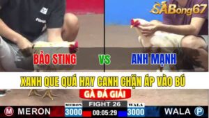 TRẬN 26 CPC2 24/11/2024: ANH BẢO STING VS ANH MẠNH VT