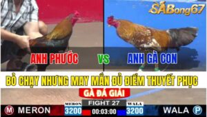 TRẬN 27 CPC2 24/11/2024: ANH PHƯỚC ĐT VS ANH GÀ CON