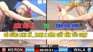 TRẬN 27 CPC3 19/11/2024 : ANH TÈO BẢO LỘC VS ANH HAI HOÓC MÔN