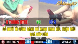 TRẬN 27 CPC3 26/11/2024 : ANH THẮNG BẾN TRE VS BÉ 5