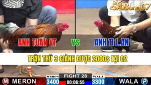 TRẬN 28 CPC2 13/11/2024 : ANH TUẤN VŨNG TÀU VS ANH TI LONG AN