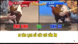 TRẬN 28 CPC2 15/11/2024 : ANH VINH VS ANH CƠ