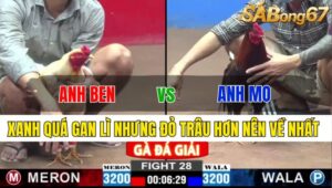 TRẬN 28 CPC2 24/11/2024: ANH BEN SG VS ANH MO TG