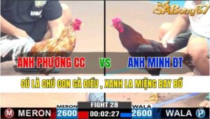 TRẬN 28 CPC3 16/11/2024 : ANH PHƯƠNG CỦ CHI VS ANH MINH ĐỒNG THÁP