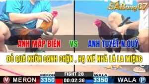 TRẬN 28 CPC3 18/11/2024 : ANH MẬP BIỆN VS ANH TUYẾT NHÂN QUÝ