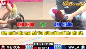 TRẬN 29 CPC1 21/11/2024 : ANH ĐẬU VS ANH TUẤN VĨNH LONG