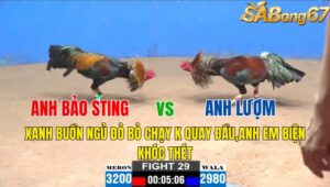 TRẬN 29 CPC2 03/11/2024 : ANH BẢO STING VS ANH LƯỢM