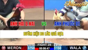 TRẬN 29 CPC2 17/11/2024 : ANH HẢI ĐỒNG NAI VS ANH PHƯỚC ĐỒNG THÁP