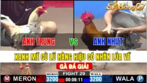 TRẬN 29 CPC2 24/11/2024: ANH TRUNG BT VS ANH NHỰT TG