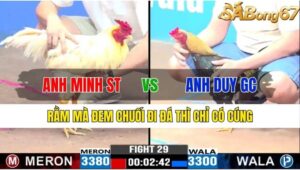 TRẬN 29 CPC3 15/11/2024 : ANH MINH SÓC TRĂNG VS ANH DUY GÒ CÔNG