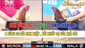 TRẬN 29 CPC3 16/11/2024 : ANH DŨNG SÀI GÒN VS ANH CHÁNH TIỀN GIANG