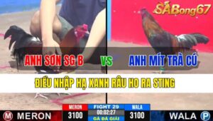 TRẬN 29 CPC3 19/11/2024 : ANH SƠN SÀI GÒN B VS ANH MÍT TRÀ CÚ