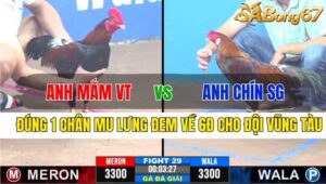 TRẬN 29 CPC3 25/11/2024 : ANH MẮM VŨNG TÀU VS ANH CHÍN SÀI GÒN