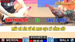 TRẬN 3 CPC1 11/11/2024 : ANH PHONG ĐỨC HÒA VS CAFE CÀ MAU