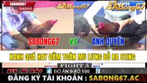 TRẬN 3 CPC1 23/11/2024: SABONG67 VS ANH QUYỀN