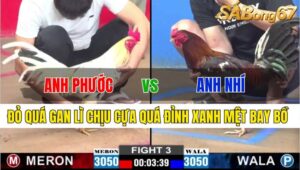 TRẬN 3 CPC2 24/11/2024: ANH PHƯỚC ĐT VS ANH NHÍ V LONG