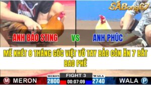 TRẬN 3 CPC2 27/11/2024 : ANH BẢO STING VS ANH PHÚC