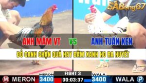 TRẬN 3 CPC3 15/11/2024 : ANH MẮM VŨNG TÀU VS ANH TUẤN KEN