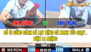 TRẬN 3 CPC3 27/11/2024 : ANH QUÀNG VS ANH TRUNG