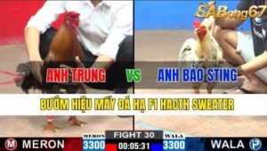 TRẬN 30 CPC2 13/11/2024 : ANH TRUNG VS ANH BẢO STING