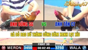 TRẬN 30 CPC3 10/11/2024 : ANH DŨNG SÀI GÒN VS ANH TÂN CẦN THƠ