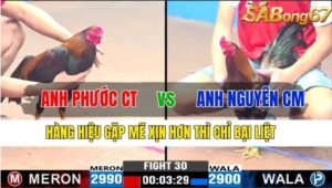 TRẬN 30 CPC3 16/11/2024 : ANH PHƯỚC CẦN THƠ VS ANH NGUYÊN CÀ MAU