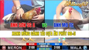 TRẬN 30 CPC3 19/11/2024 : ANH SƠN SG A VS ANH MO TIỀN GIANG