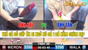 TRẬN 30 CPC3 21/11/2024 : ANH HẬU TÂN BÌNH VS ANH TÂN INOX