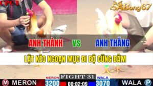 TRẬN 31 CPC1 21/11/2024 : ANH THÀNH SG VS ANH THẮNG