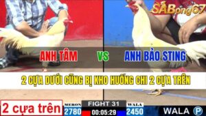 TRẬN 31 CPC2 08/11/2024 : ANH TÂM VS ANH BẢO STING