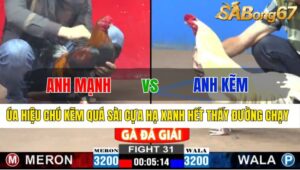 TRẬN 31 CPC2 24/11/2024: ANH MẠNH VT VS ANH KẼM VINH CHÂU