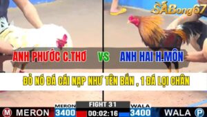 TRẬN 31 CPC3 09/11/2024 : ANH PHƯỚC CẦN THƠ VS ANH HAI HOÓC MÔN