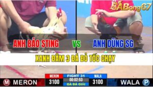 TRẬN 31 CPC3 19/11/2024 : ANH BẢO STING VS ANH DŨNG SÀI GÒN