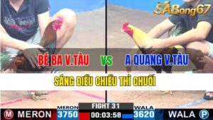 TRẬN 31 CPC3 20/11/2024 : BÉ BA VŨNG TÀU VS ANH QUANG VŨNG TÀU