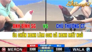 TRẬN 31 CPC3 25/11/2024 : ANH BÌNH SÀI GÒN VS CHÚ THƯỢNG CẦN THƠ