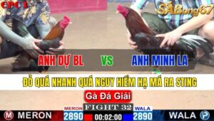 TRẬN 32 CPC1 14/11/2024 : ANH DỰ BẢO LỘC VS ANH MINH LONG AN