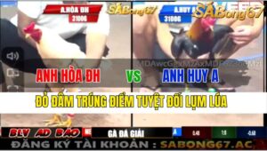 TRẬN 32 CPC3 19/11/2024 : ANH HÒA ĐỨC HÒA VS ANH HUY A