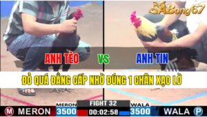 TRẬN 32 CPC3 21/11/2024 : ANH TÈO BTRE VS ANH TIN ĐỨC HÒA