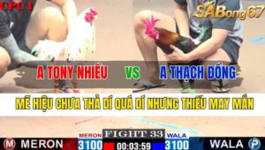 TRẬN 33 CPC1 12/11/2024 : ANH TONY NHIỀU VS ANH THẠCH ĐỒNG