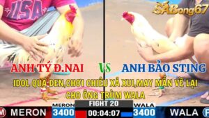 TRẬN 33 CPC2 03/11/2024 : ANH TÝ ĐỒNG NAI VS ANH BẢO STING