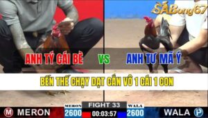 TRẬN 33 CPC2 13/11/2024 : ANH TÝ CÁI BÈ VS ANH TƯ MÃ Ý