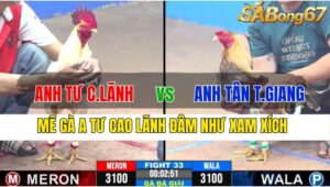 TRẬN 33 CPC3 19/11/2024 : ANH TƯ CAO LÃNH VS ANH TÂN TIỀN GIANG