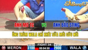 TRẬN 34 CPC2 13/11/2024 : ANH MO TIỀN GIANG VS ANH BẢO STING