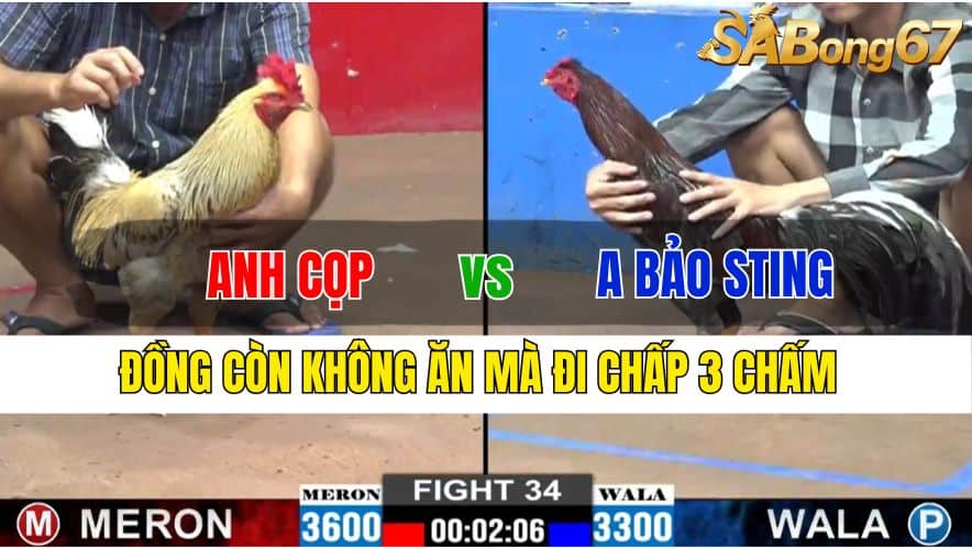 TRẬN 34 CPC2 20/11/2024 : ANH CỌP VS ANH BẢO STING